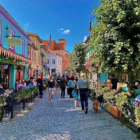 Daire Harmony Tasta Stavanger