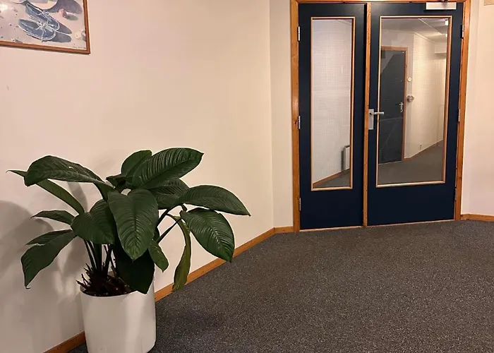 Harmony Tasta * Stavanger